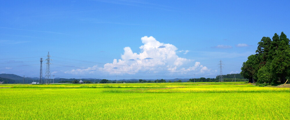 田園