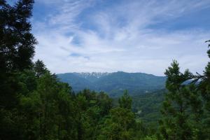 山頂付近から背後の葉山